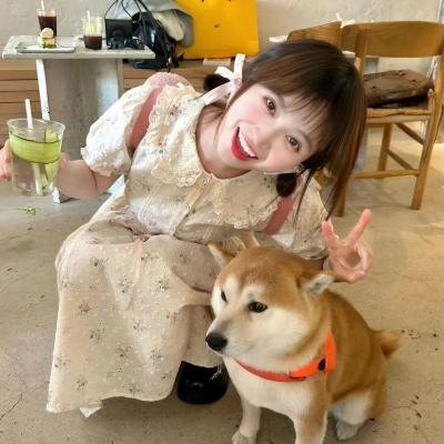 我是只小小鸟